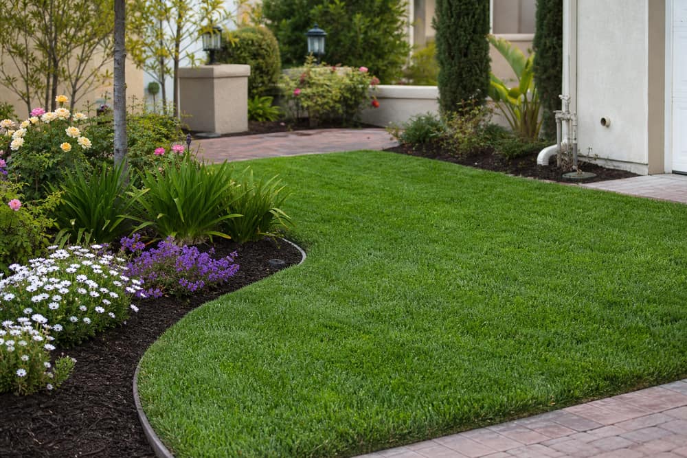 New sod & garden beds